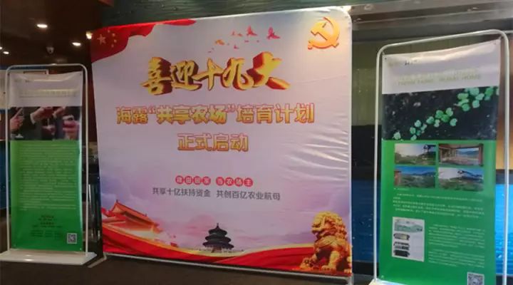 欧宝OB(中国集团)有限公司官网