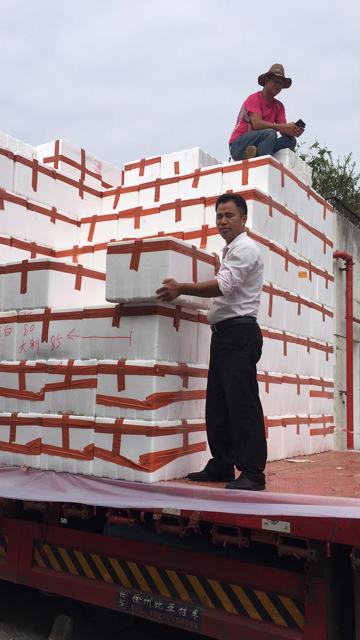 欧宝OB(中国集团)有限公司官网