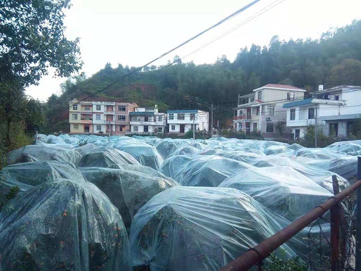 欧宝OB(中国集团)有限公司官网