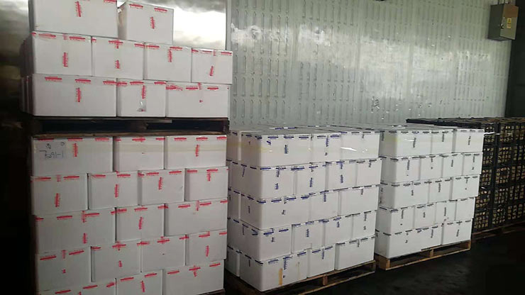 欧宝OB(中国集团)有限公司官网