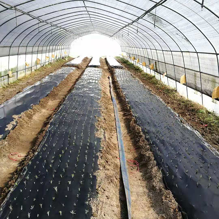 欧宝OB(中国集团)有限公司官网