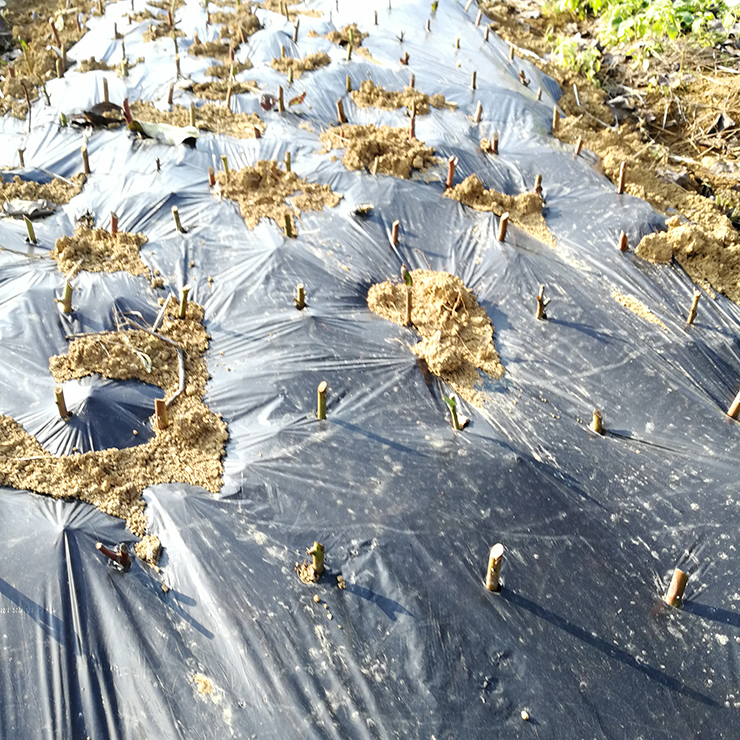 欧宝OB(中国集团)有限公司官网