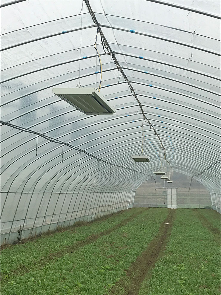 欧宝OB(中国集团)有限公司官网