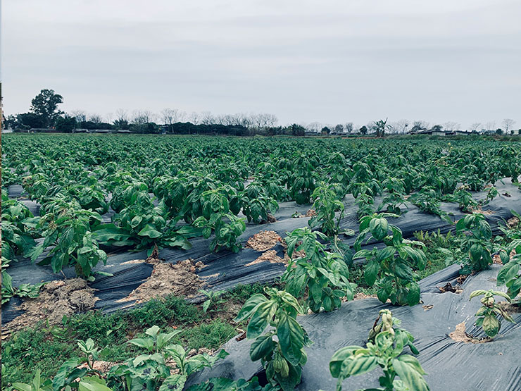 欧宝OB(中国集团)有限公司官网
