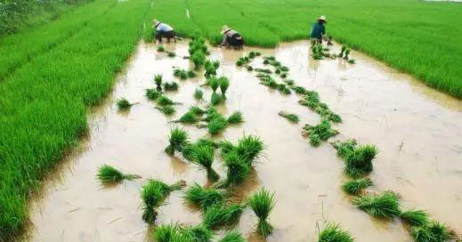 欧宝OB(中国集团)有限公司官网