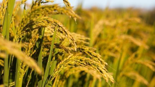 欧宝OB(中国集团)有限公司官网