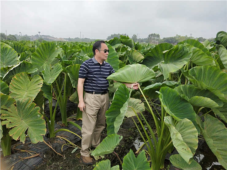 欧宝OB(中国集团)有限公司官网