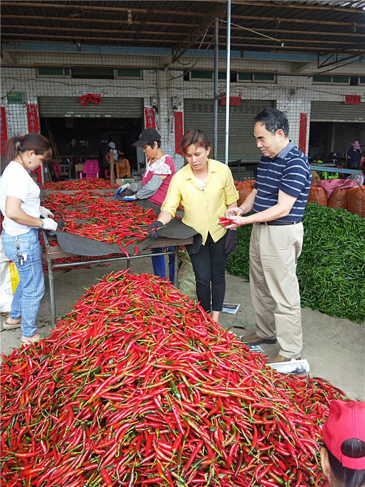欧宝OB(中国集团)有限公司官网
