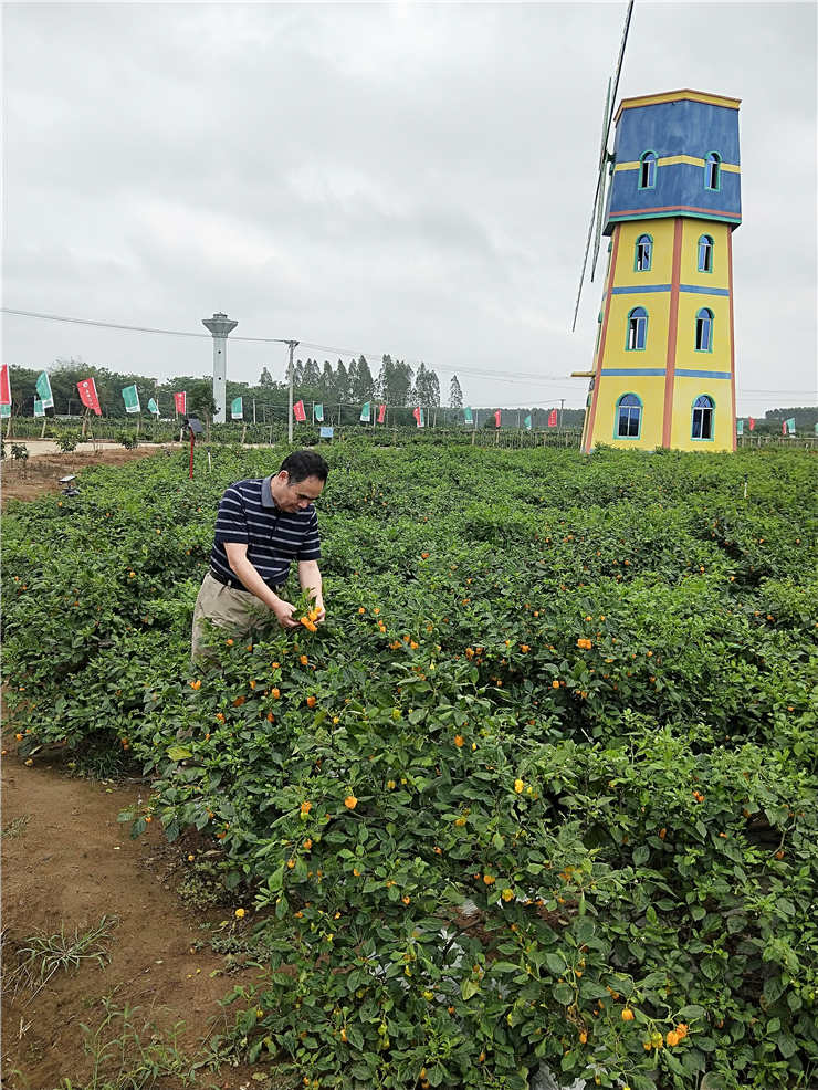 欧宝OB(中国集团)有限公司官网