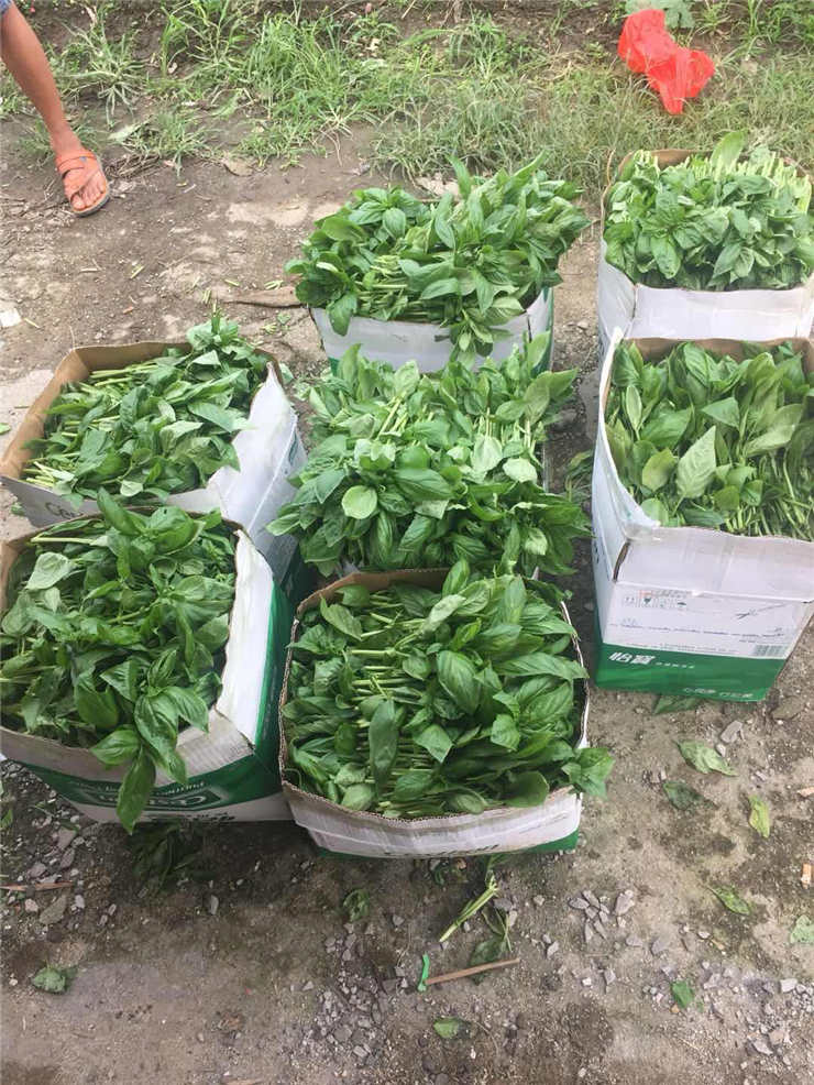 欧宝OB(中国集团)有限公司官网