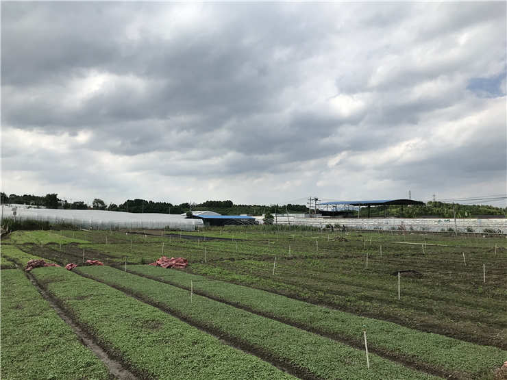 欧宝OB(中国集团)有限公司官网