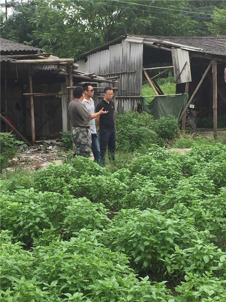 欧宝OB(中国集团)有限公司官网