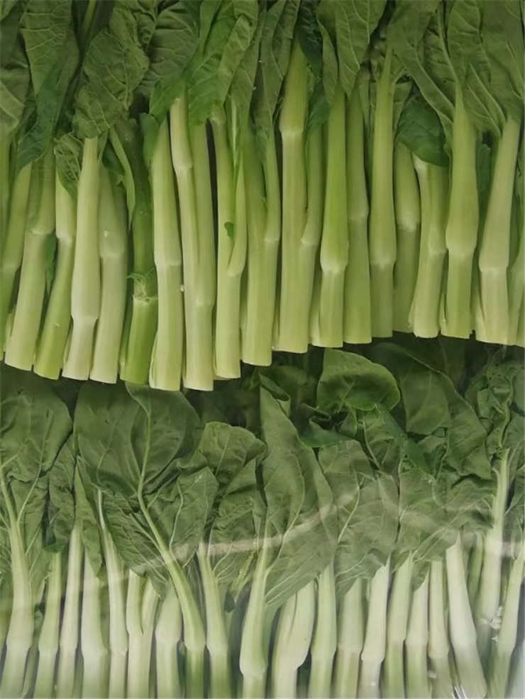 欧宝OB(中国集团)有限公司官网