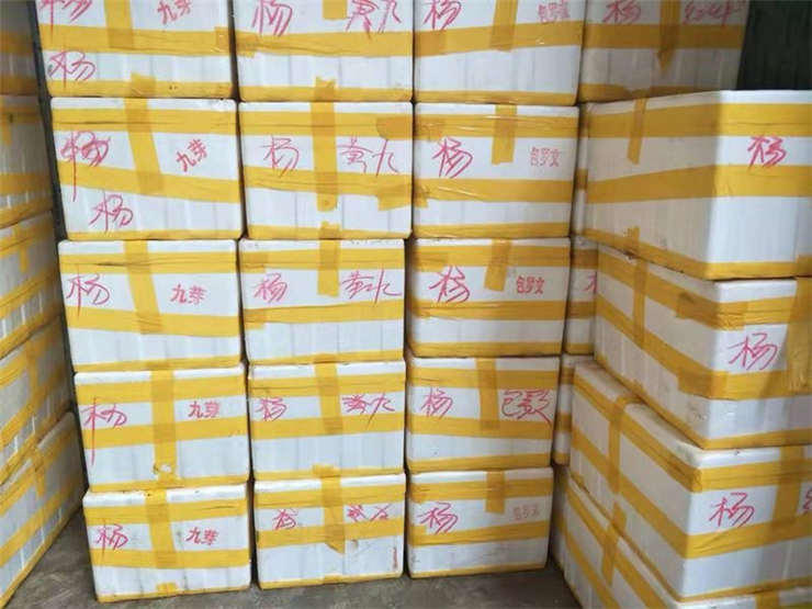 欧宝OB(中国集团)有限公司官网