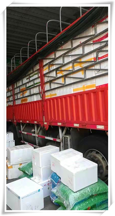 欧宝OB(中国集团)有限公司官网