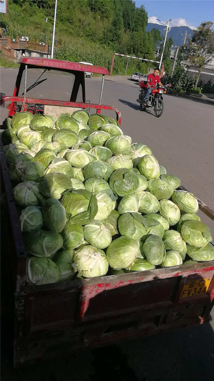 欧宝OB(中国集团)有限公司官网