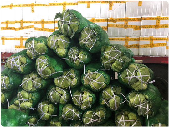 欧宝OB(中国集团)有限公司官网