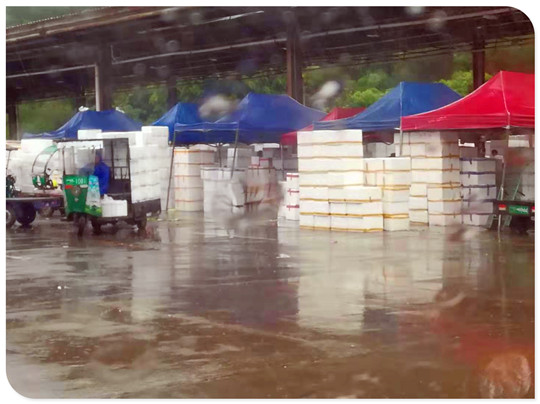 欧宝OB(中国集团)有限公司官网