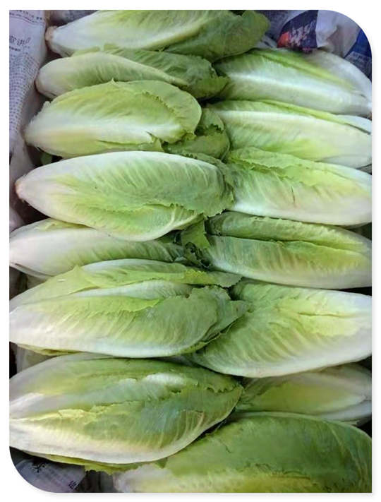 欧宝OB(中国集团)有限公司官网