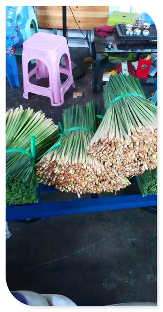 欧宝OB(中国集团)有限公司官网