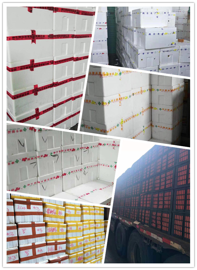 欧宝OB(中国集团)有限公司官网