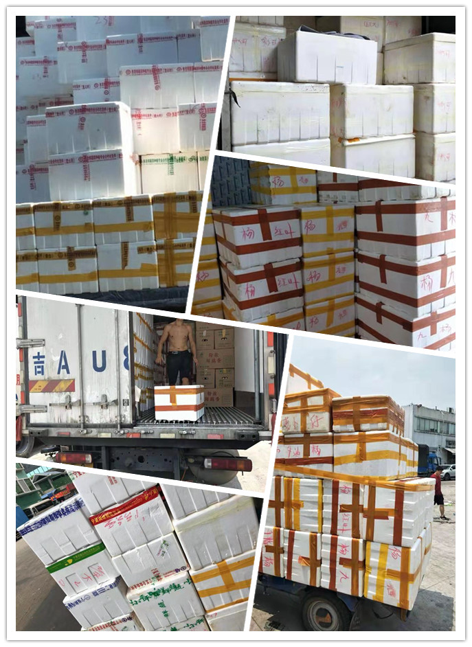 欧宝OB(中国集团)有限公司官网