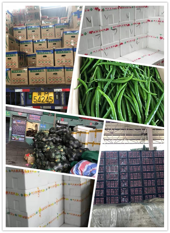 欧宝OB(中国集团)有限公司官网