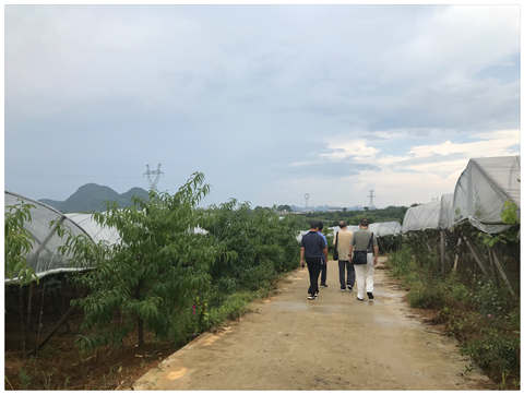 欧宝OB(中国集团)有限公司官网