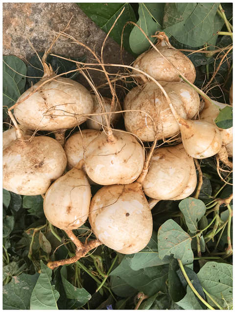 欧宝OB(中国集团)有限公司官网