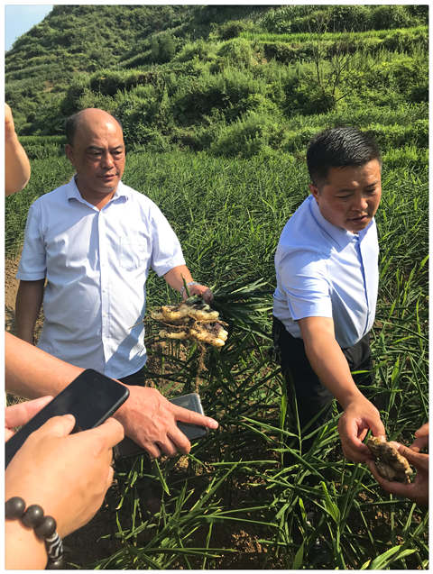 欧宝OB(中国集团)有限公司官网