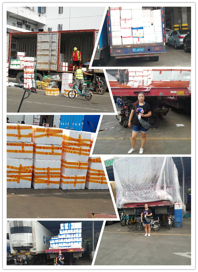 欧宝OB(中国集团)有限公司官网