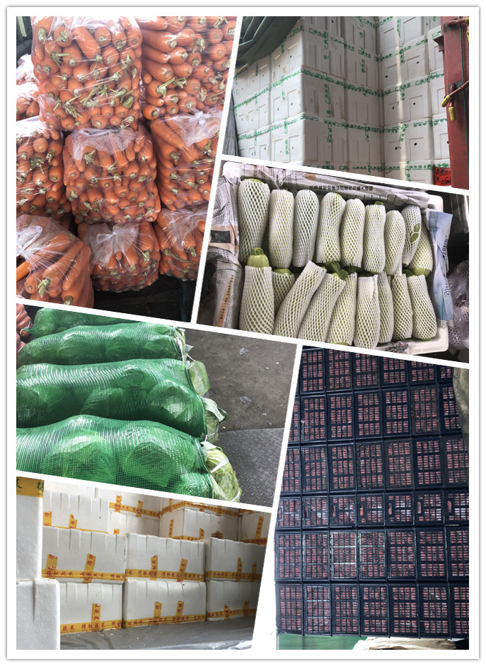 欧宝OB(中国集团)有限公司官网