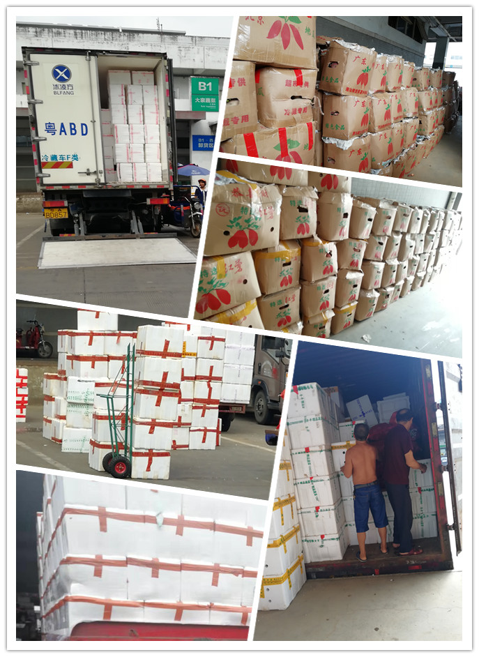 欧宝OB(中国集团)有限公司官网