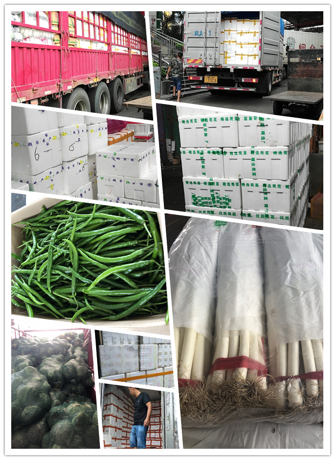 欧宝OB(中国集团)有限公司官网