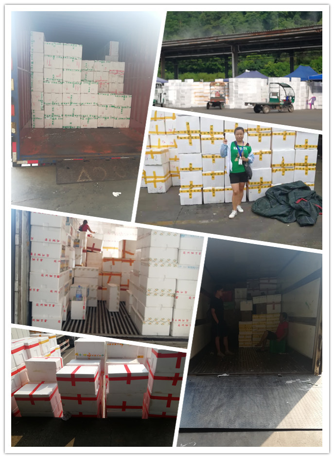 欧宝OB(中国集团)有限公司官网