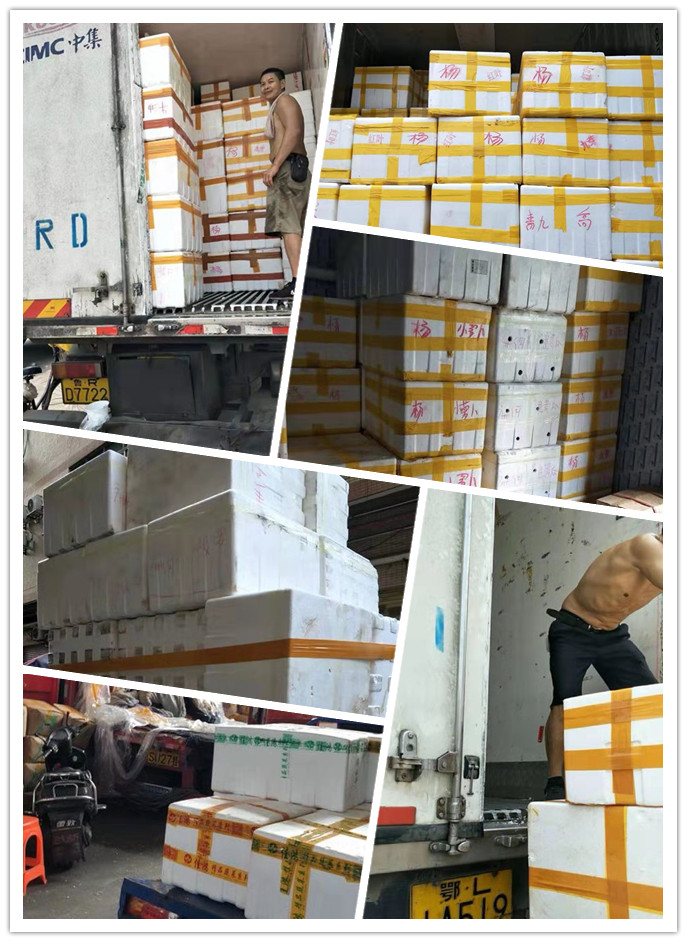 欧宝OB(中国集团)有限公司官网