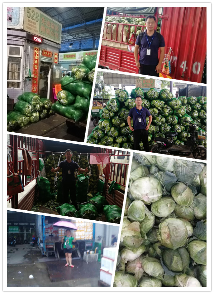 欧宝OB(中国集团)有限公司官网