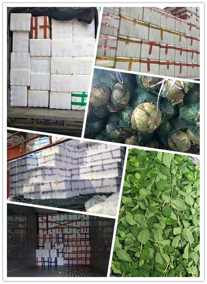 欧宝OB(中国集团)有限公司官网