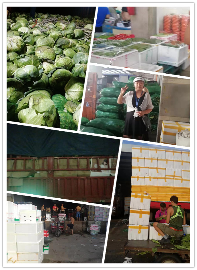 欧宝OB(中国集团)有限公司官网