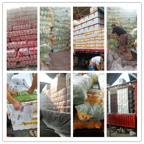 欧宝OB(中国集团)有限公司官网