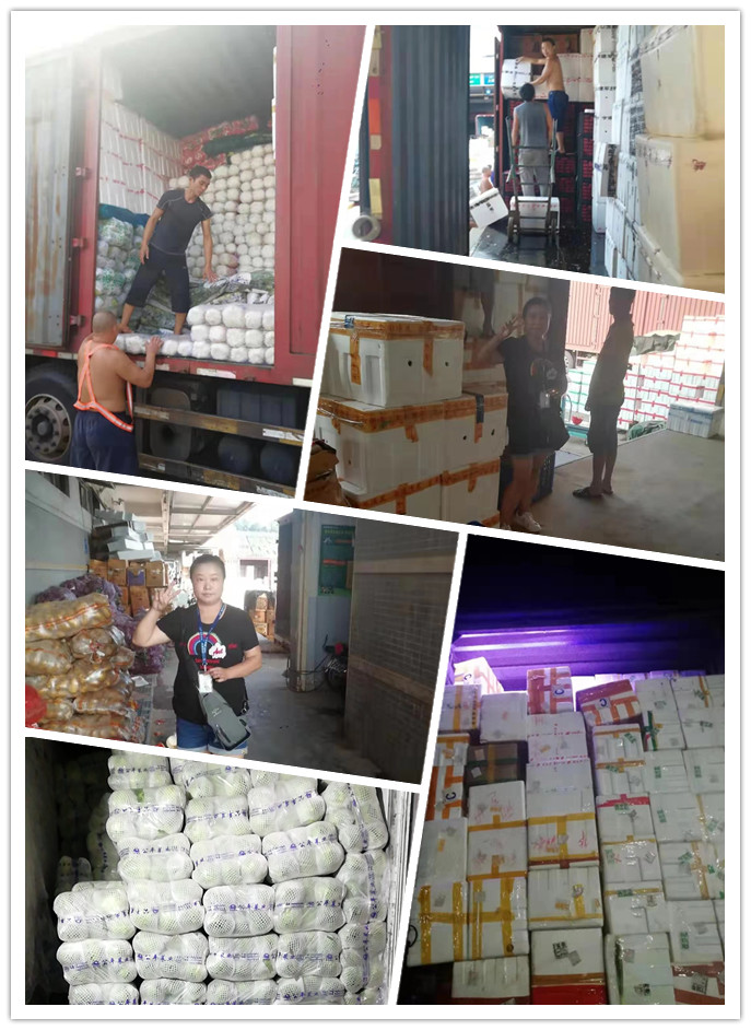 欧宝OB(中国集团)有限公司官网