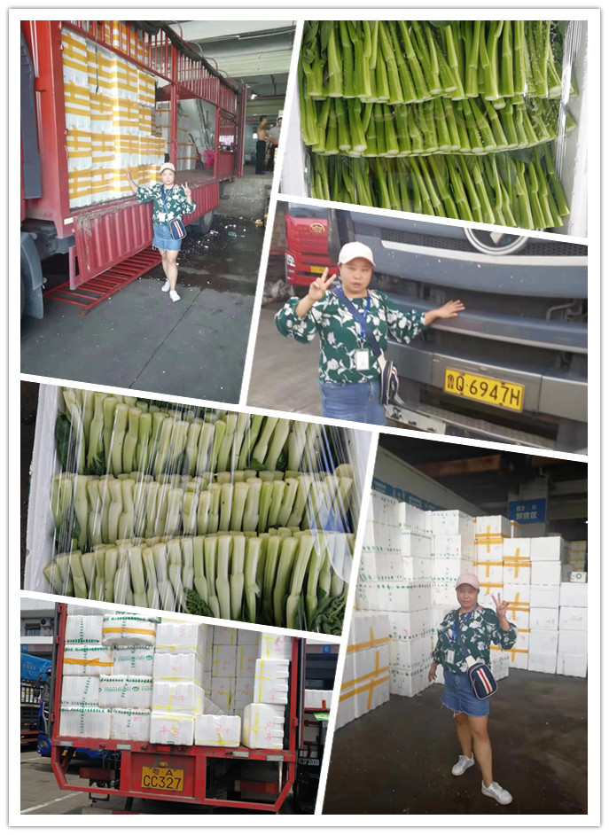 欧宝OB(中国集团)有限公司官网