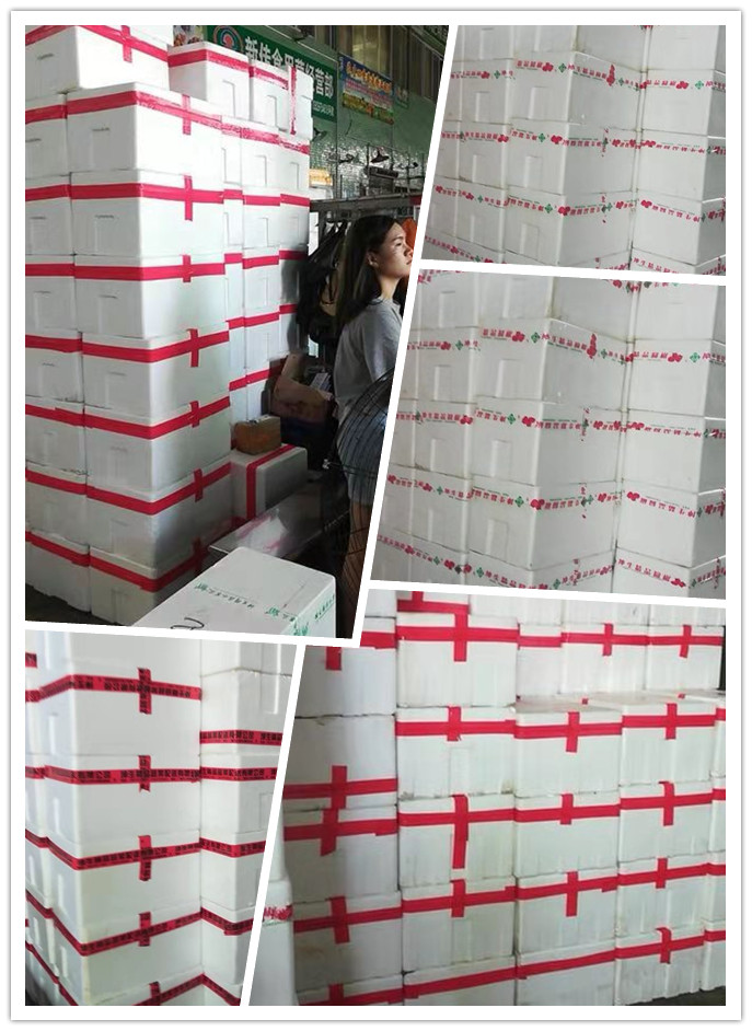 欧宝OB(中国集团)有限公司官网