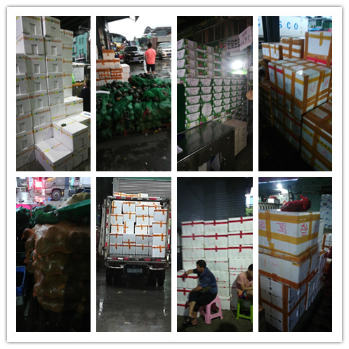 欧宝OB(中国集团)有限公司官网