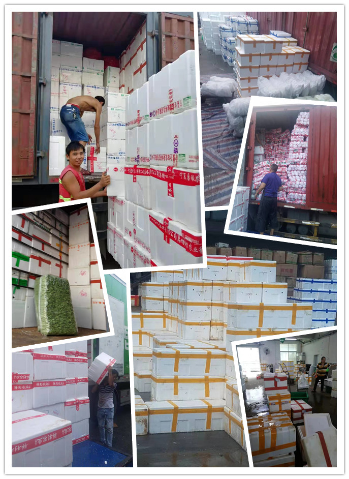 欧宝OB(中国集团)有限公司官网