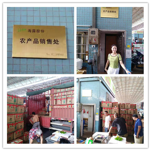 欧宝OB(中国集团)有限公司官网