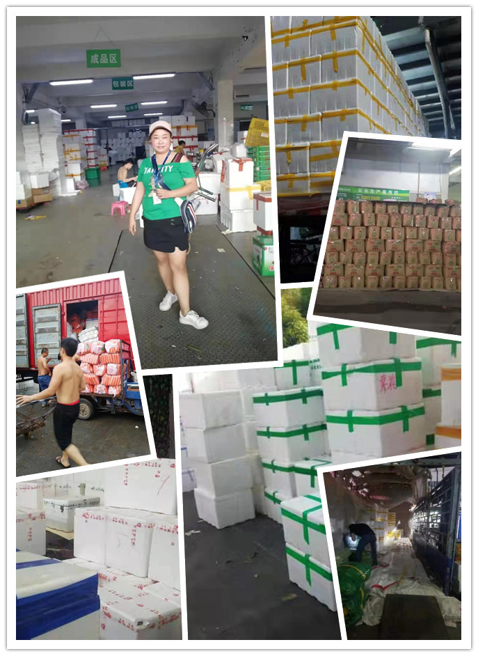 欧宝OB(中国集团)有限公司官网