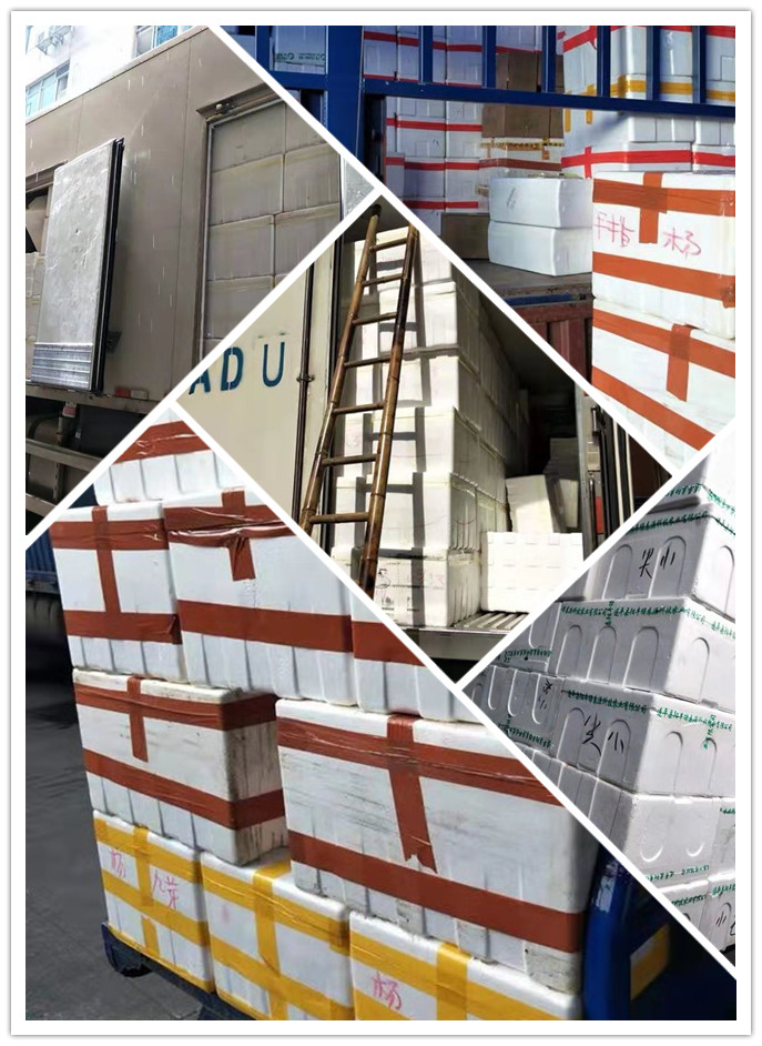 欧宝OB(中国集团)有限公司官网