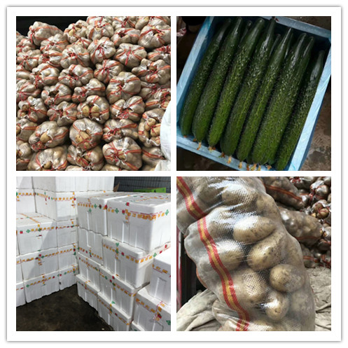 欧宝OB(中国集团)有限公司官网