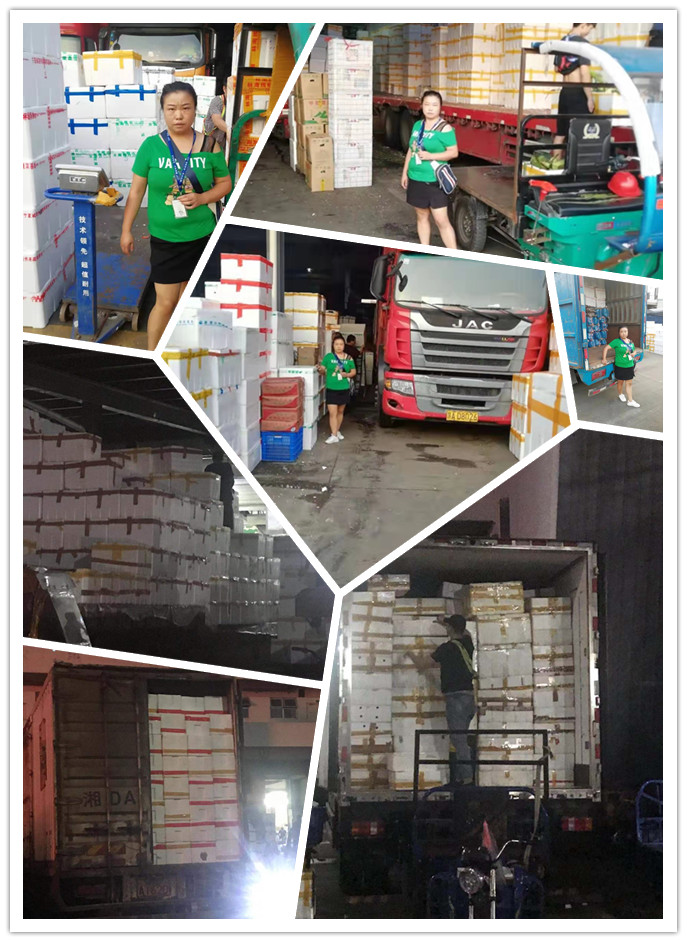 欧宝OB(中国集团)有限公司官网